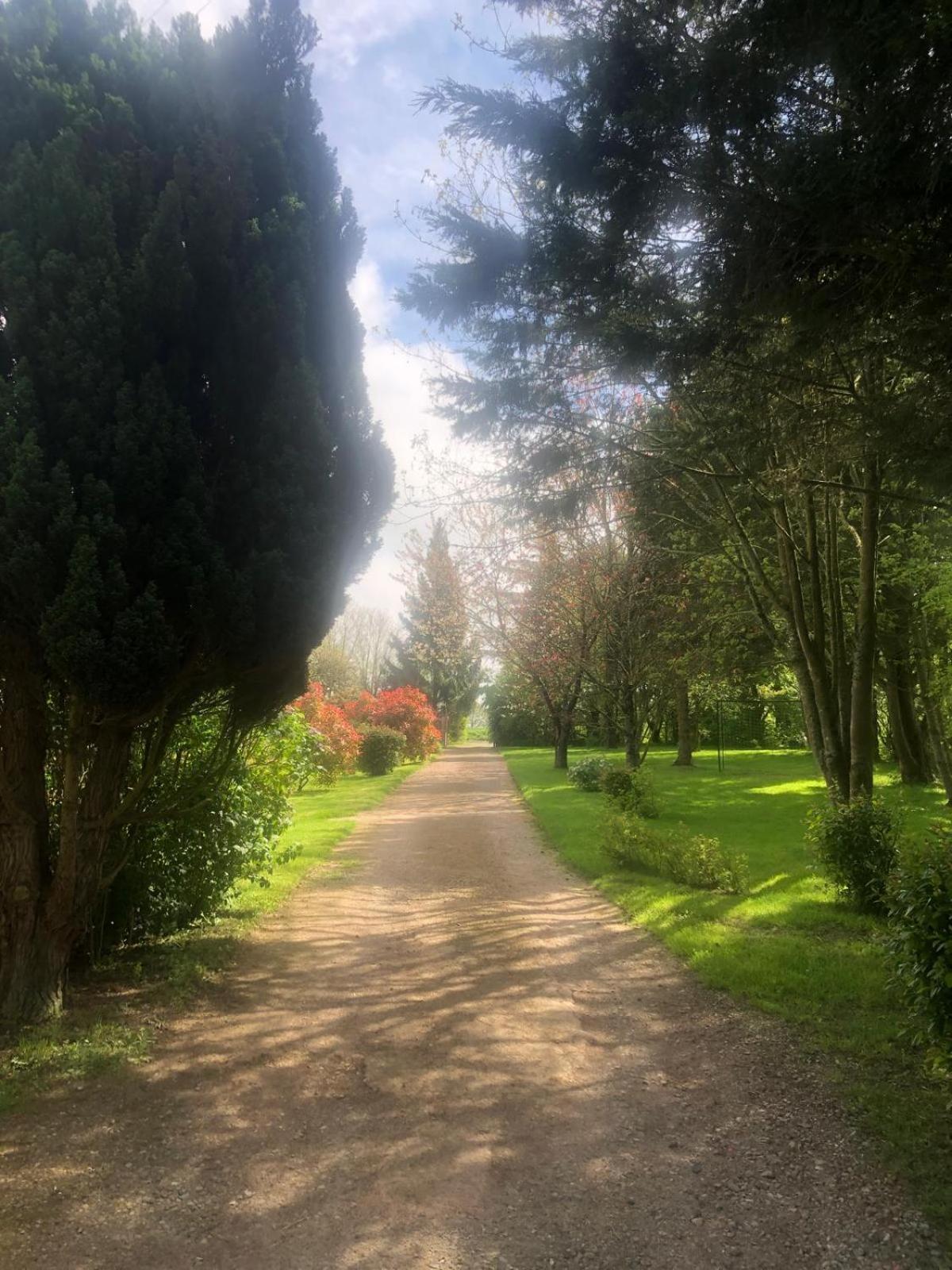 Maison De Paille Ceton Zewnętrze zdjęcie